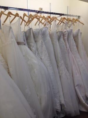 Bridal Beginning