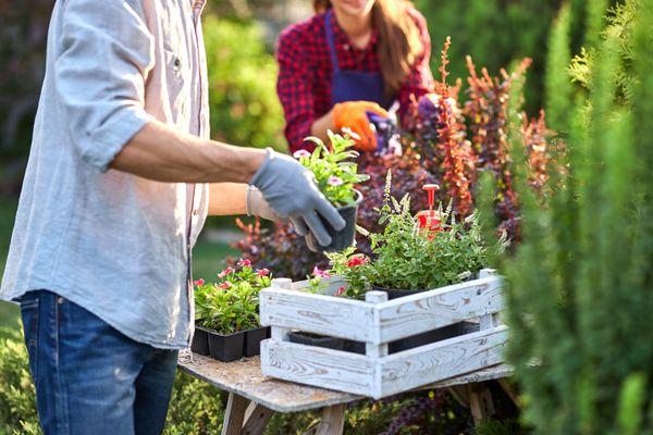 Garden Center of Gypsum