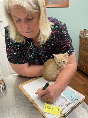 Cumberland Animal Hospital