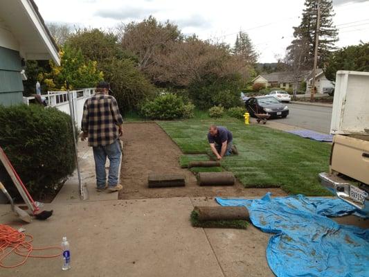 Debris Environmental