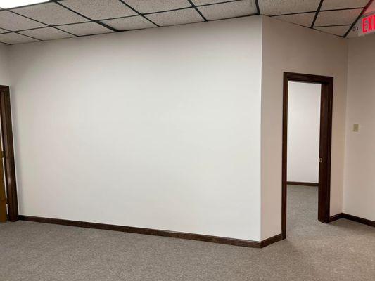 Geaux-N-Green Painting & Home Repair