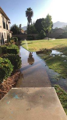 Flooding outside homes