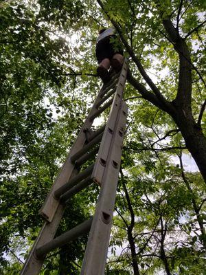 Campus Corps Painters