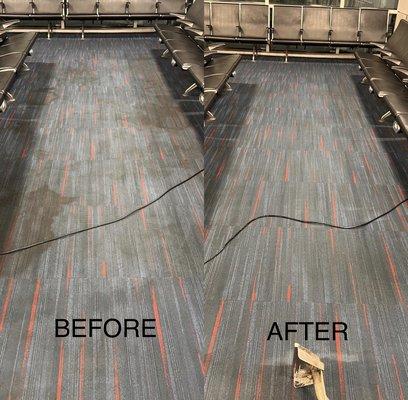 Hollywood Carpet Cleaning
