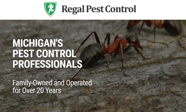 Michigan's Pest Control Professionals. Family-Owned. Over 20 Years in Business.