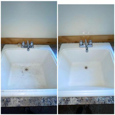 Little Bird Cleaning