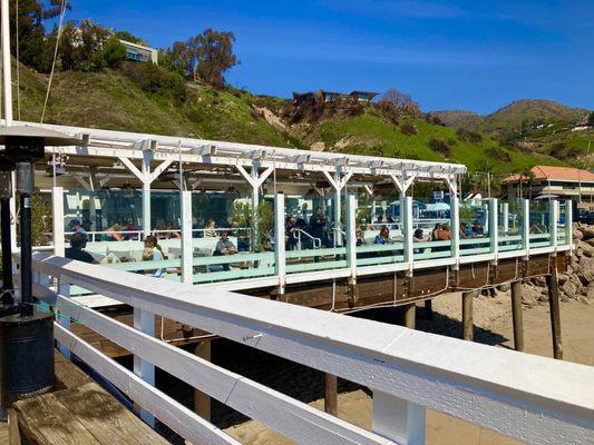 There were a lot of people having lunch at the Malibu Farm Restaurant.