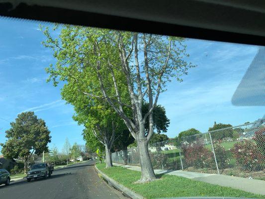 Lee Elementary School