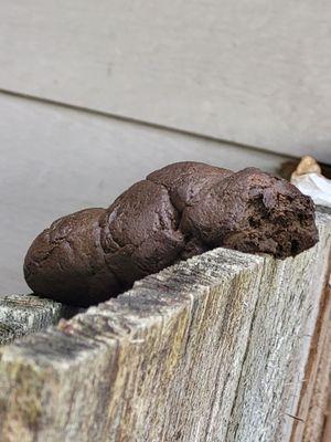 Lacey Memory Care at the Lodges