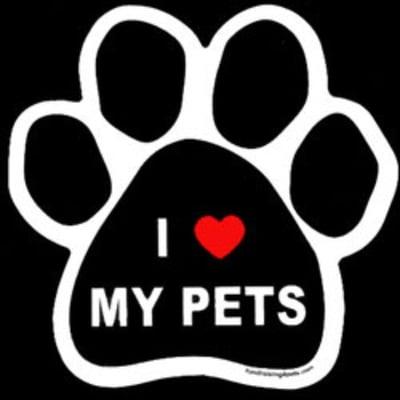 Techsitters Pet Sitting and Vet Tech Care