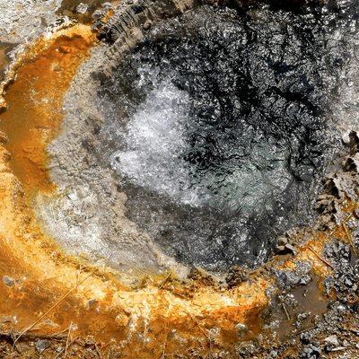 No, this is not a bison burger. You know better.