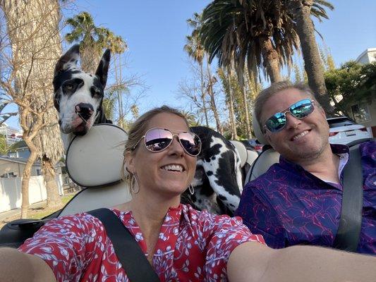 Thanks for tuning my sweet Dane ride!