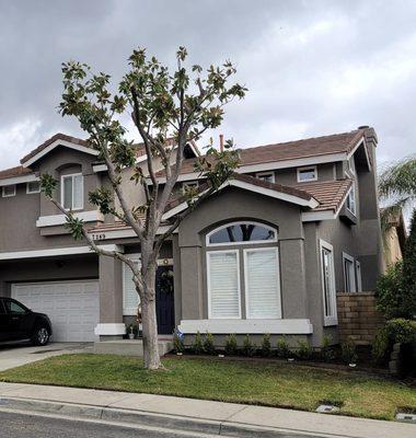 Armando’s Landscape