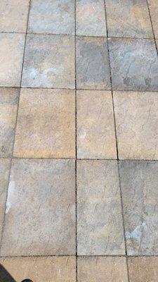 Luna's Outdoor Solutions