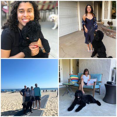 Family Pets are family members!!