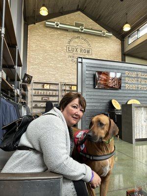 Pet Paradise Lakewood Ranch