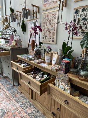 Seeds, gardener's soaps and tools