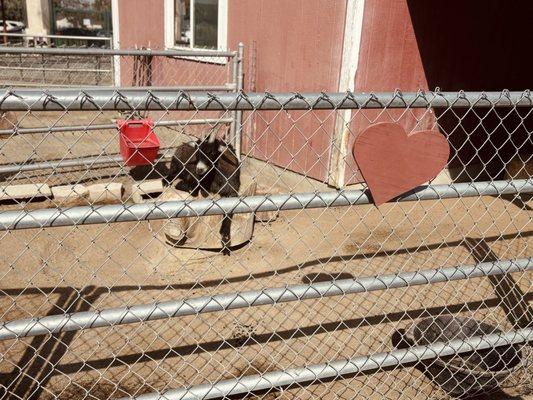 Parnell Storybook Zoo