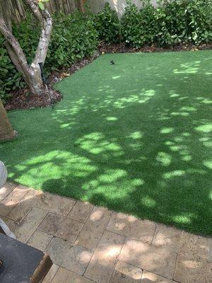 Rapid 1 Tree Service