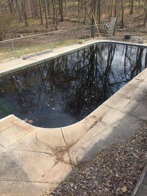 Affordable Pool Cleaning Guys