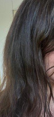 Mulberry Hair Company