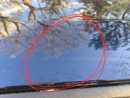 Julio's Brushless Car Wash