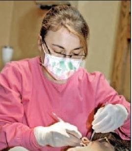 Cynthia B Creech, DDS
