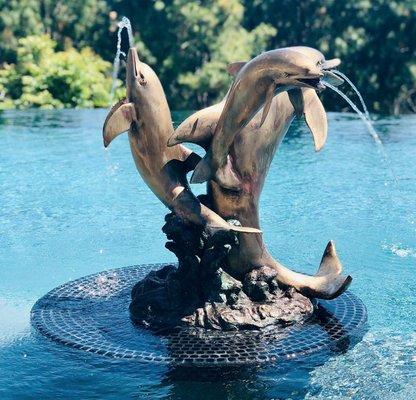 Classic Pools & Spas