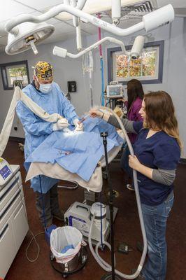 Homestead Veterinary Hospital