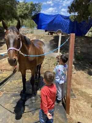 HM Farms Riding School
