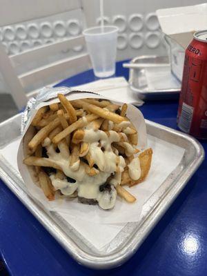 Steak and fries pita