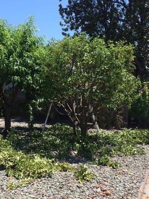 Juan Service Maintenance