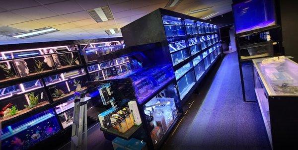 The Local Fish Store