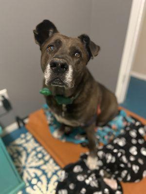 Rescue Friends Ranch