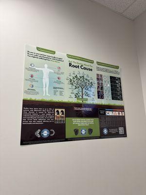Infographic