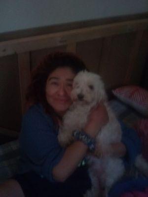 MV Dental Arts North Hollywood Dental Clinic