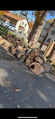 G&M Property Service