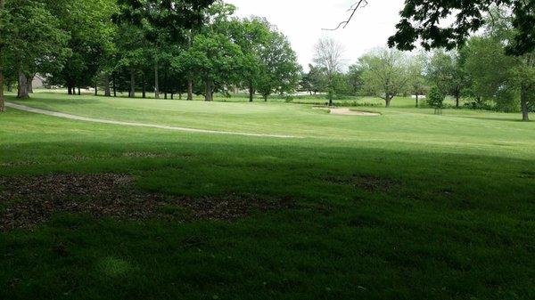 Lake Of The Woods Golf Course