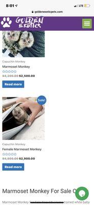 Will post a picture of the text messages and picture from them threatening me they will find me if I mess with them and their business !!