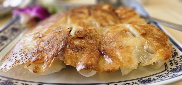 Shrimp dumplings. Bomb dot com.