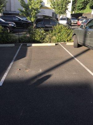 Action Towing & Repair