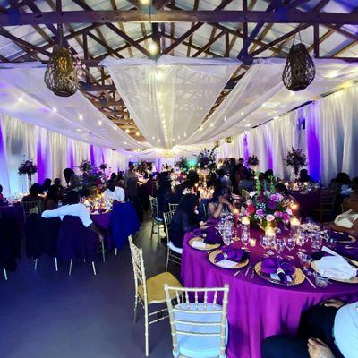 Martin Special Events and Decor