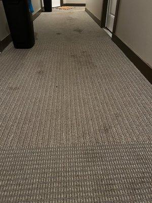 Going on 4+ years without carpet cleaning or spot cleaning.