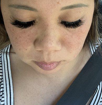 Lavender Beauty Shop