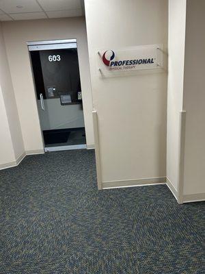 Professional Physical and Hand Therapy