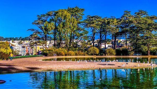 Spreckels Lake