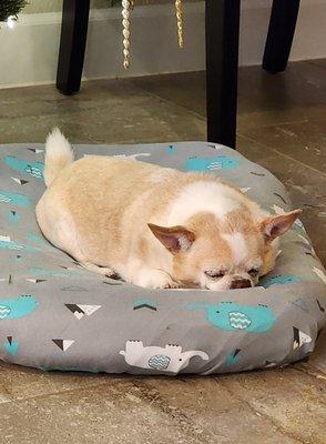 FM 685 Animal Hospital