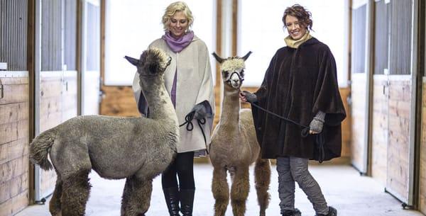 Triple Diamond's Alpaca Boutique