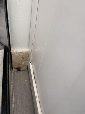 Ramirez Maintenance Services