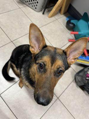 Clovis Police Department